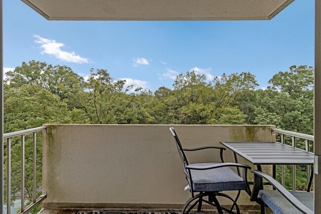 Copas de los árboles desde el balcón - 2939 Van Ness St NW