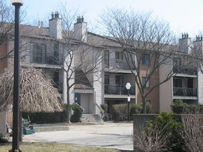 Building Photo - Lakeshore Apartments