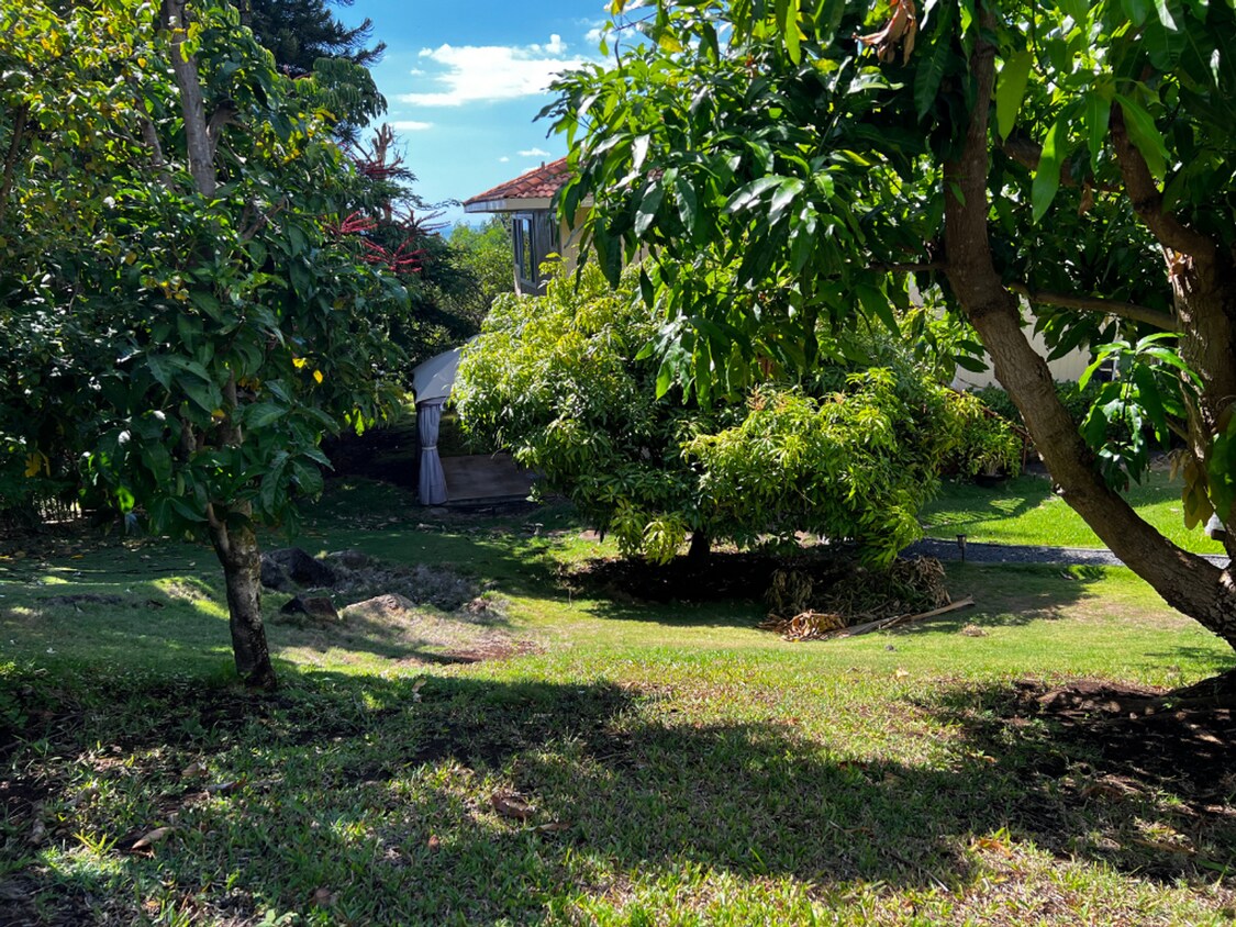 Primary Photo - 882 Kupulau Dr
