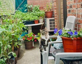 Building Photo - 66-07 242nd St