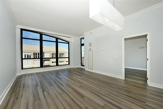 Building Photo - 1025 Maxwell Ln