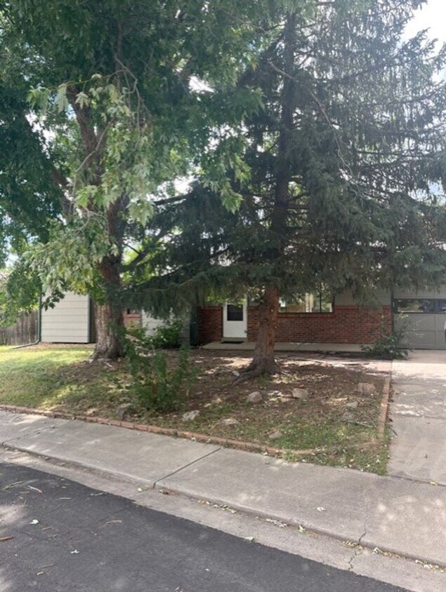 Newly updated 4 bedroom home in Centaur Vi... House Rental in Lafayette, CO