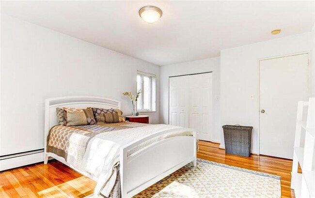 Building Photo - Stunning 3bedroom In the heart of Takoma Park