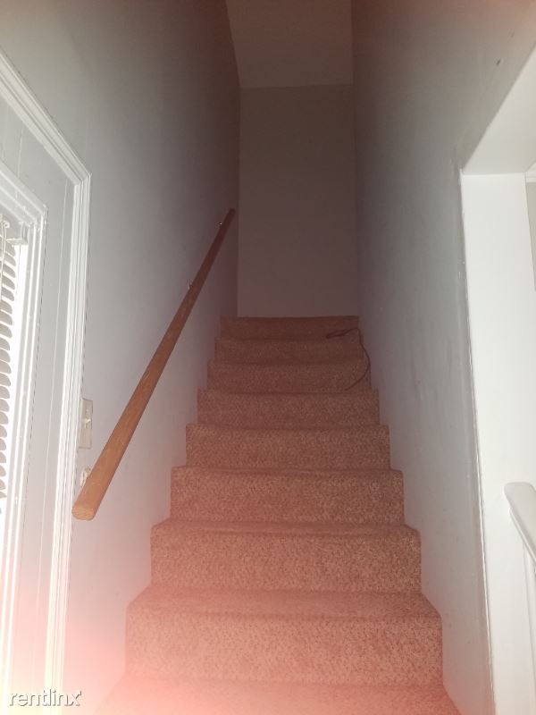 Foto del edificio - 4 br, 2 bath House - 1008 Trice Dr