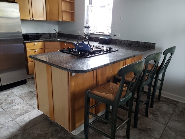 kitchen with builtin range - 526 N Homan Ave