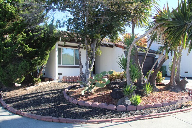 Foto del edificio - Mission San Jose – 2 Bed / 2 Bath | $3,800/month
