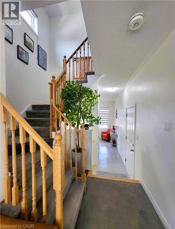 Photo du bâtiment - 3098 Michelangelo Rd