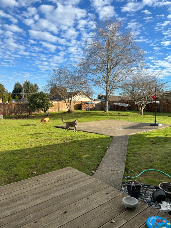 Foto principal - 1287 Paulding St