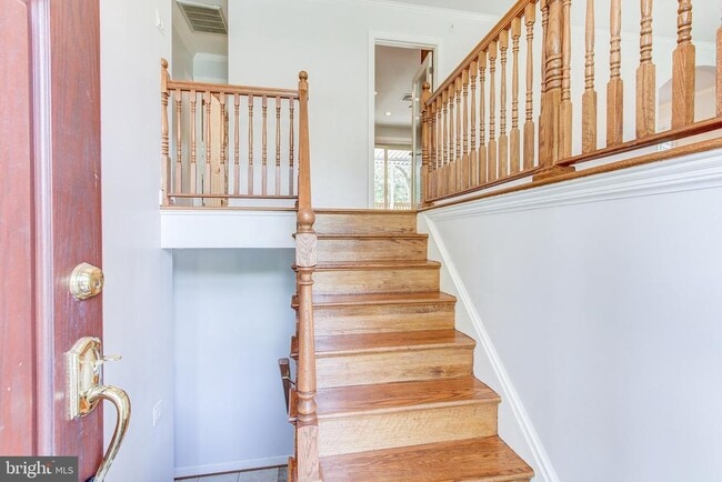 Building Photo - 3809 Great Neck Ct
