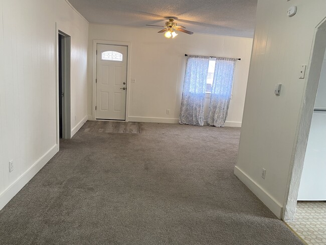 Living room/Back Entrance - 407 Griffin Ave