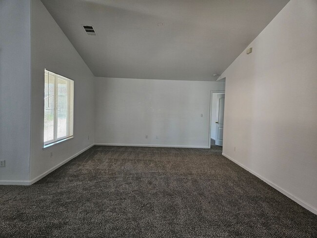 Building Photo - 2042 Romolo St