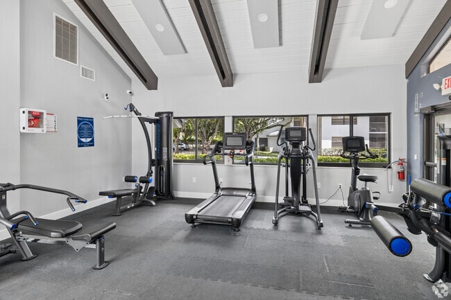 Gimnasio - Circle Sunrise
