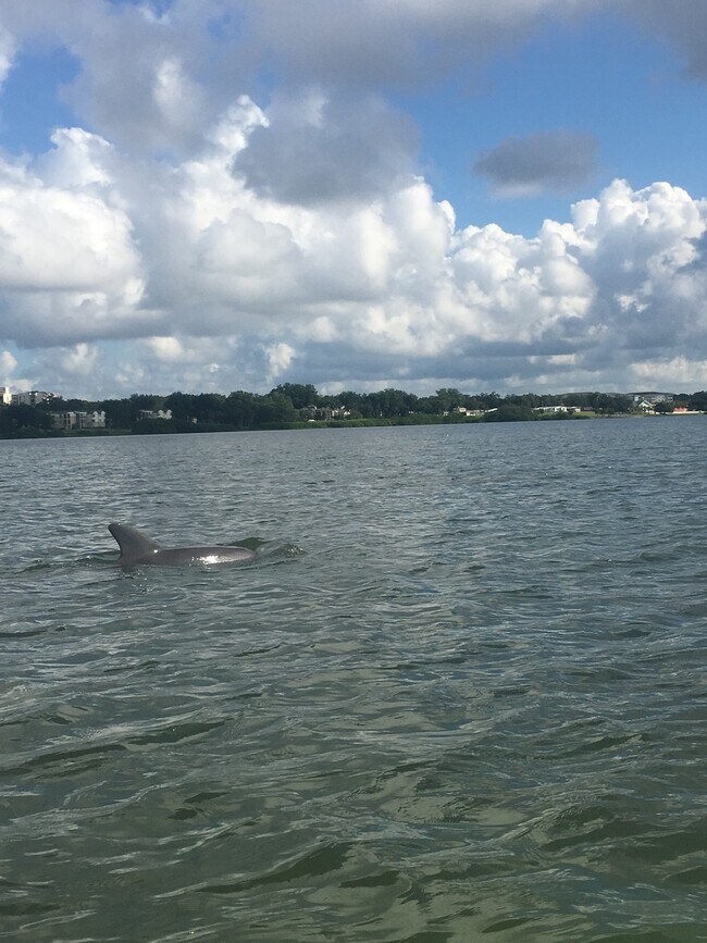 Foto del edificio - 19369 US Highway 19 North, Unit 3