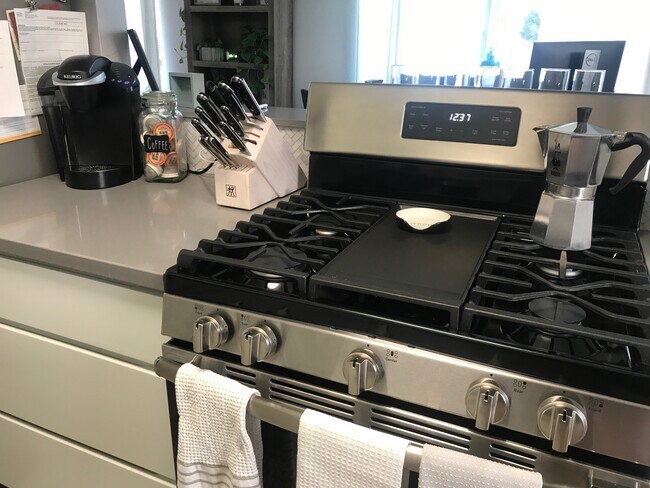 Gas Range - 2912 Peppertree Ln