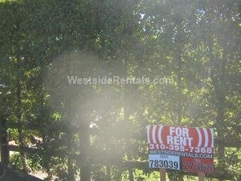 Primary Photo - 11305 Graham Pl