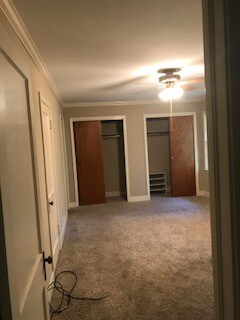 Building Photo - 305 Sterrett Ave
