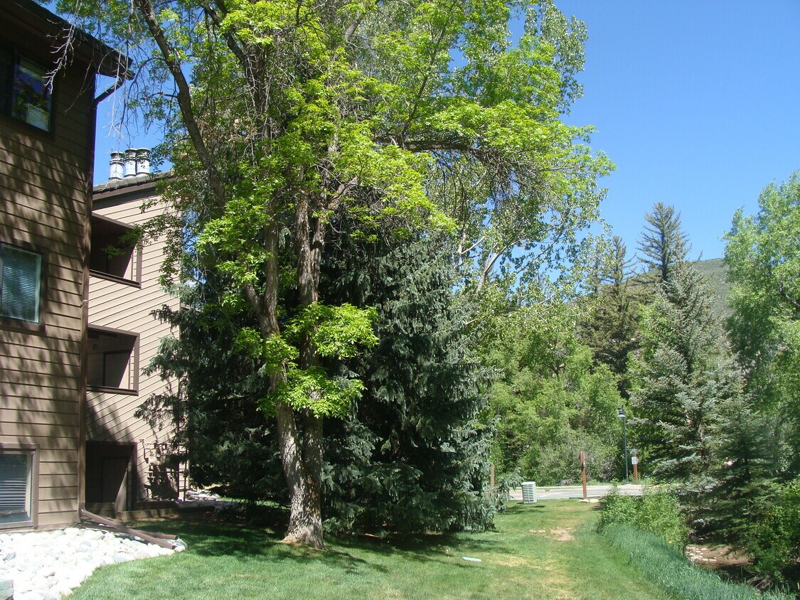 1050 W Beaver Creek Blvd, Avon, CO 81620 Townhome Rentals in Avon CO