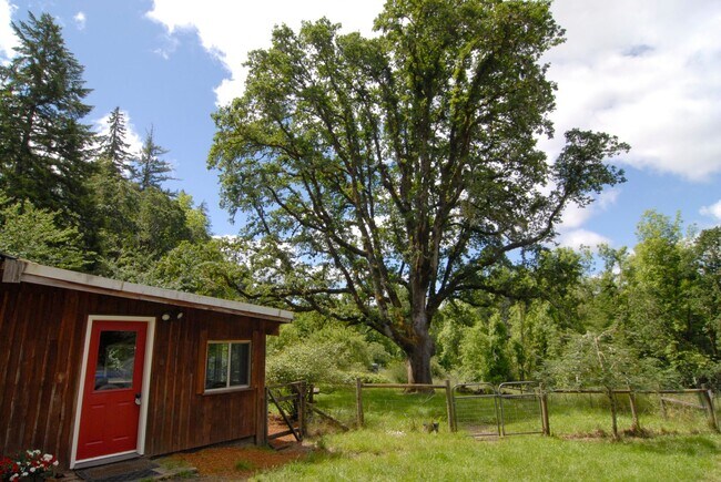 Foto del edificio - Lovely cabin on shared rural property.
