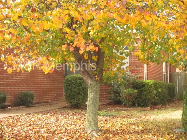 Building Photo - 925 Abbey Grove Ln