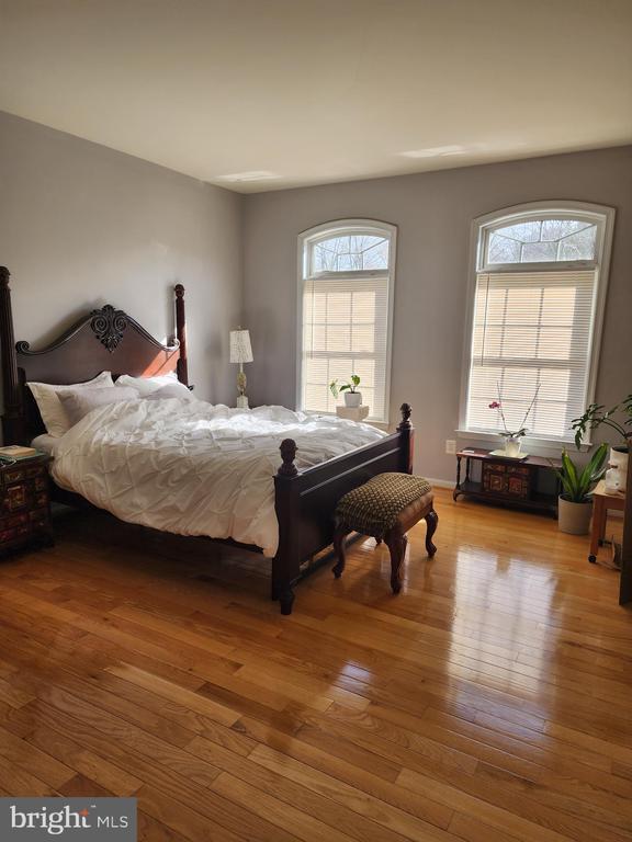 Foto del edificio - 20387 Fallsway Terrace