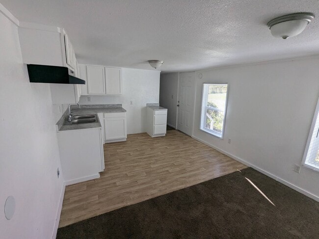 Building Photo - 1009 Luan Way