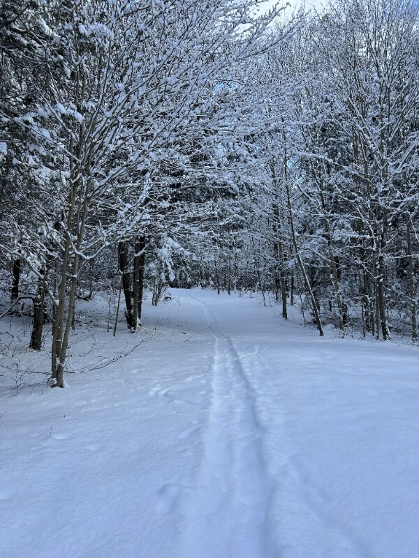 Foto del edificio - 316 E Mountain Rd