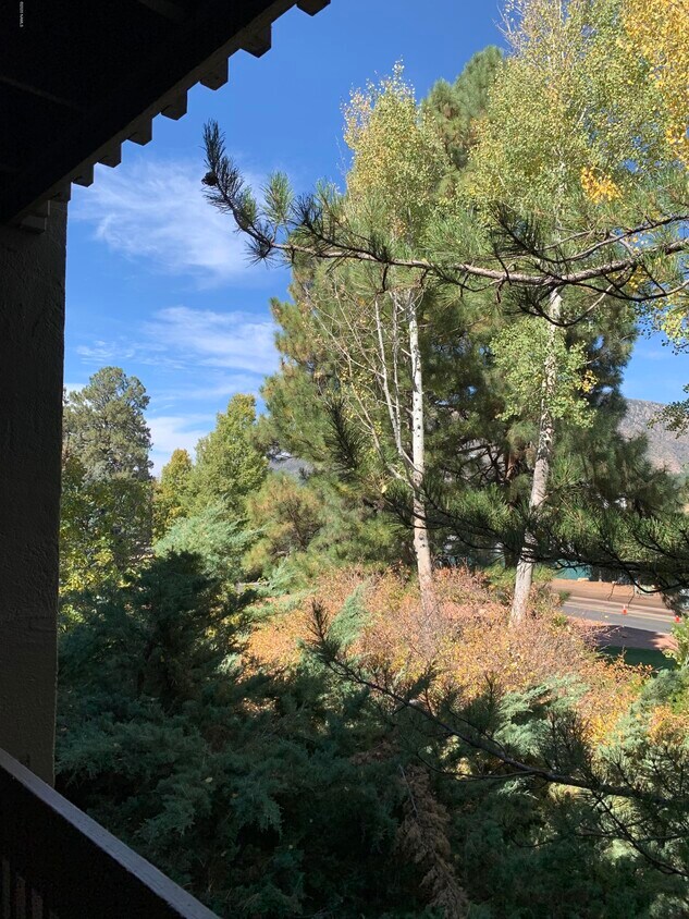 5825 E Bear Paw Dr Unit 11139, Flagstaff, AZ 86004 Condo for Rent in