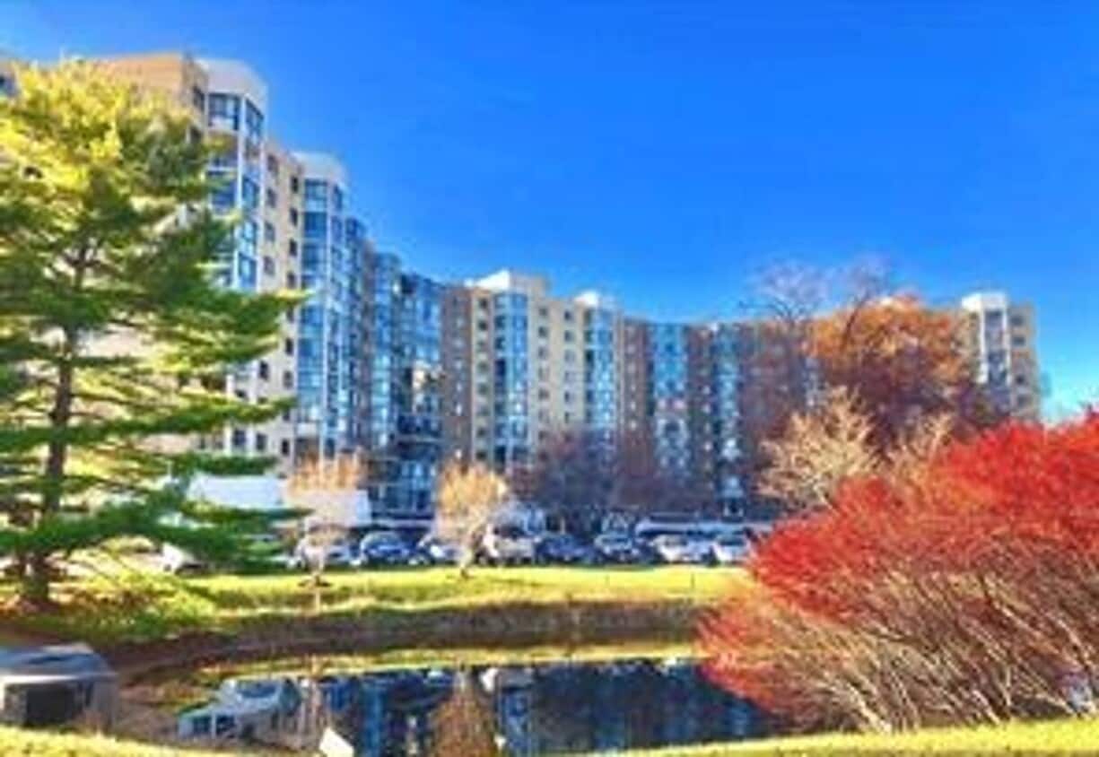 Primary Photo - Large 2BR 2BA 7th floor condo facing the g...