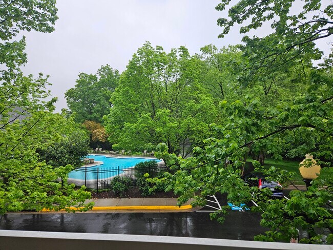 Balcony View - 13008 Cabin Creek Rd