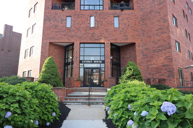 Building Photo - 44 Elm St