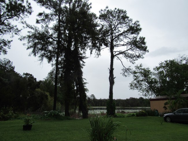Building Photo - 6210 Land O Lakes Blvd