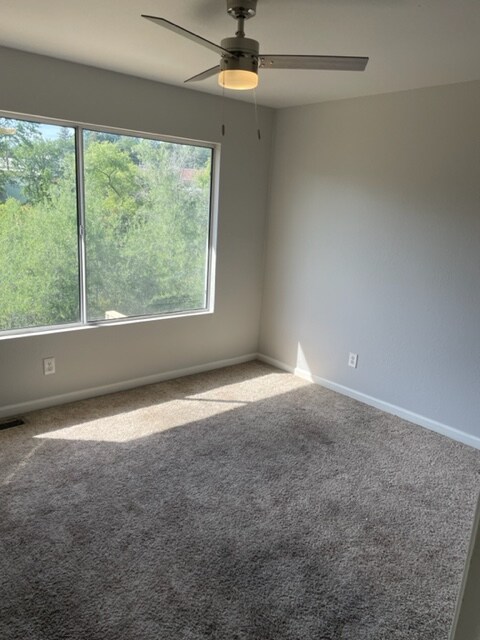 Building Photo - 4270 Diamond Meadows Way