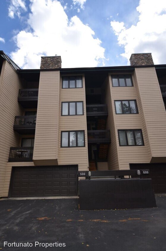 Primary Photo - 1 br, 1 bath House - 501 Asgard Haus 246 B...