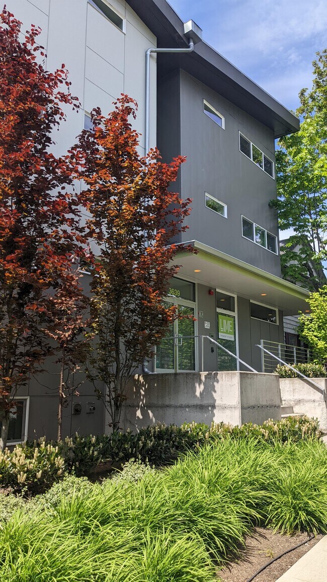 Foto del edificio - Lime Studios