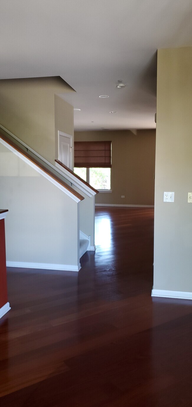 1184 Danforth Ct, Vernon Hills, IL 60061 Townhome Rentals in Vernon