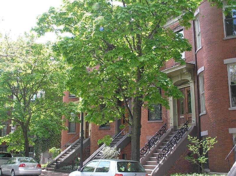 Primary Photo - 417 Massachusetts Ave