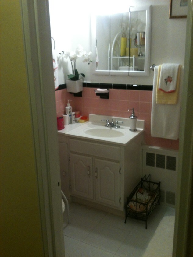 CUARTO DE BAÑO - 20 Paerdegat 8th St