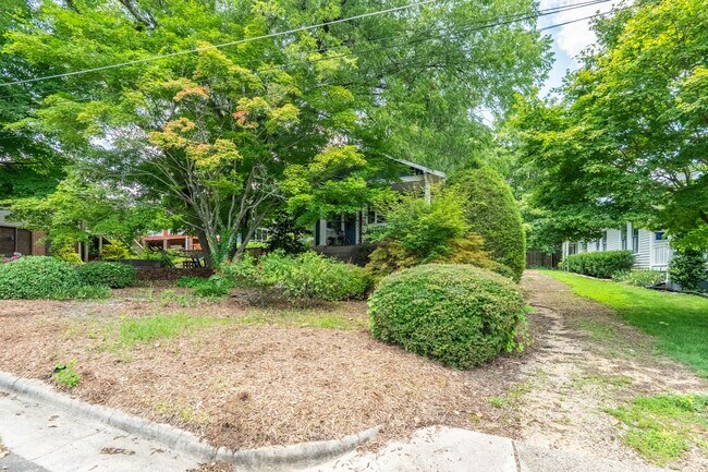 Foto del edificio - Downtown Raleigh Bungalow: Available September 11th