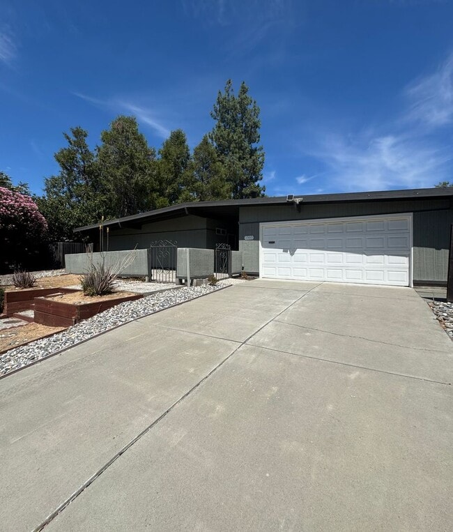 Building Photo - 1503 Brown Dr