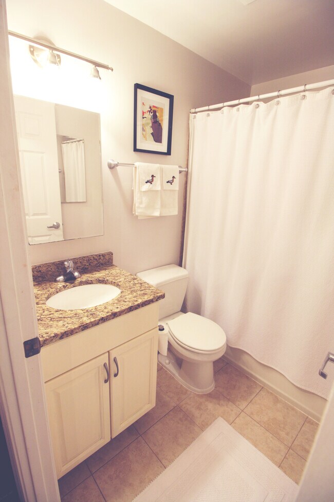 bathroom - 2627 Adams Mill Rd NW