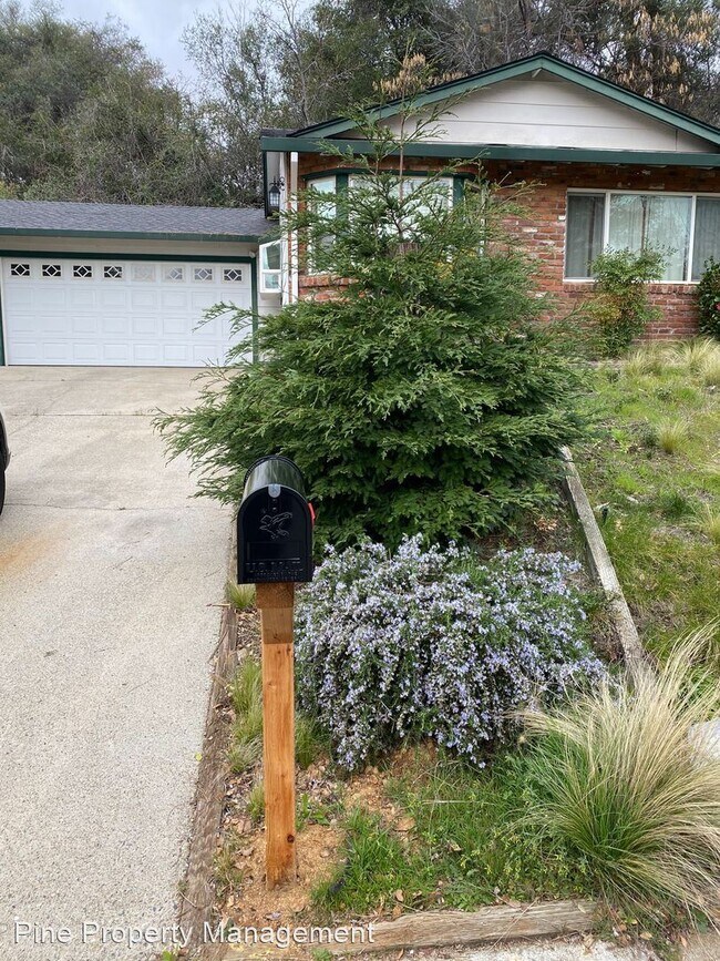 Foto del edificio - 3 br, 2 bath House - 920 Royal Oaks Drive