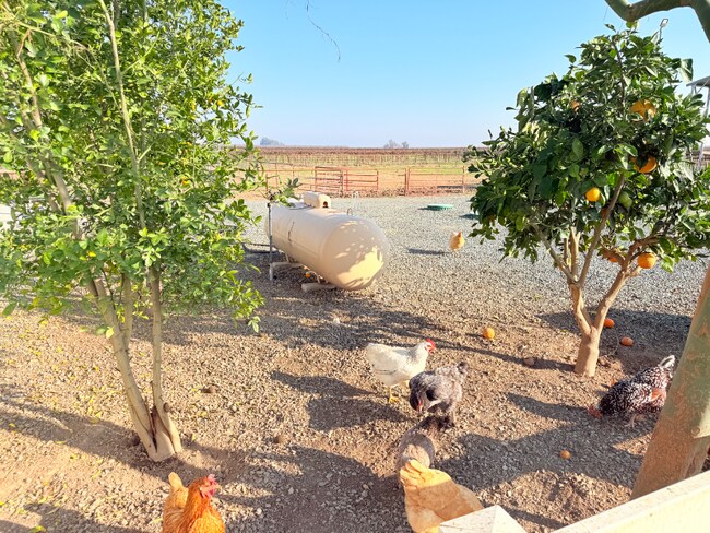 Building Photo - 14621 16th Ave