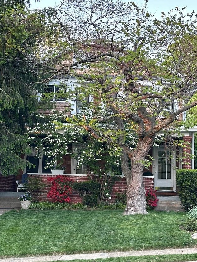 Photo - 115 E Laurel Ave (Cheltenham Village, PA)