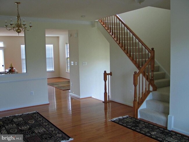 Building Photo - 648 Belmont Bay Dr
