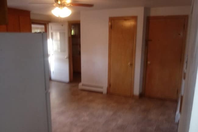 Kitchen from Hall - 117 Catherine St