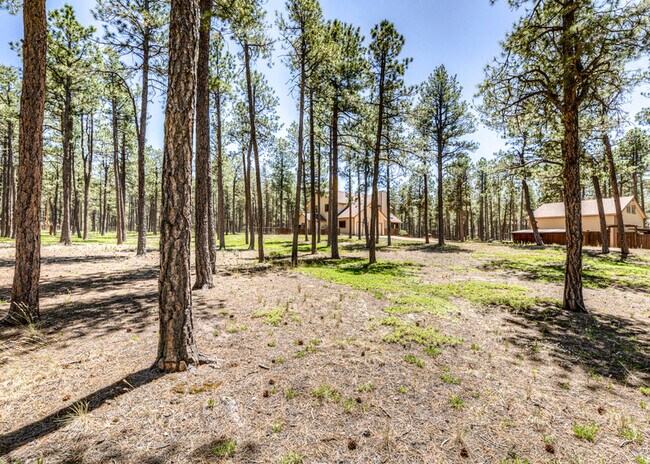 Foto del edificio - 8455 Bar X Terrace