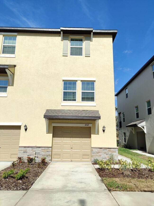 Building Photo - 4543 Tuscan Loon Dr Tampa FL 33619