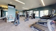 This single-floor fitness center is thoughtfully designed to accommodate a wide range of workout needs. The space is defined by teal and deep green accent walls paired with crisp white ceilings, creating a modern and energizing atmosphere. Patterned carpet tiles cover the floor throughout, adding texture and visual interest while providing a practical surface underfoot.

The main workout area is generously sized and anchored by structural columns finished in the same teal tones as the surrounding walls. Large windows and glass doors line the perimeter, flooding the interior with natural light and offering views of the surrounding greenery and outdoors. Ceiling fans and linear LED fixtures provide additional comfort and illumination throughout.

Equipment is well-distributed across the space and includes treadmills, ellipticals, stationary bikes, cable machines, and multi-function strength stations. A dedicated functional training zone features a bold geometric mural in yellow, teal, and white as a backdrop, with TRX suspension straps, kettlebells, medicine balls, and a plyo box available for dynamic workouts.

The entrance area includes a full-length mirror, locker banks, and glass-paneled doors with black frames that lend an upscale, contemporary feel. An adjoining glass-enclosed room is visible from the main floor, suggesting additional utility space. Overall, the fitness center balances aesthetic design with comprehensive functionality.