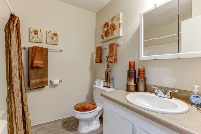 1 habitación, 1 baño - 570 pies cuadrados - Baño - Wedekind Apartments