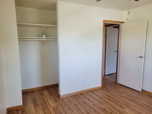 Bedroom 2 extra deep closet - 84 S Pioneer Pky